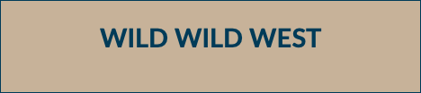 WILD WILD WEST 
